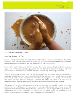 ALEXANDRE BRAND&Atilde;O | CH&Atilde;O Opening: August 13, 7pm Galeria Leme