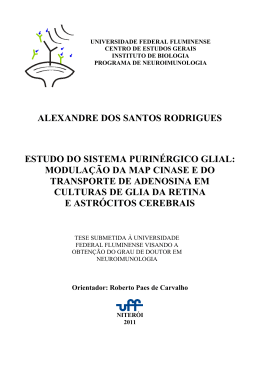 Alex pre-textual. FECHADO OK - Universidade Federal Fluminense