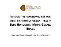 interactive taxonomic key for identification of urban trees in belo