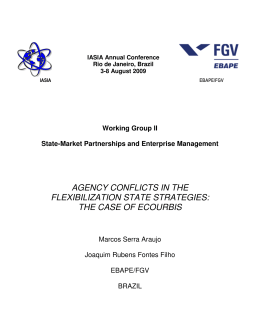 agency conflicts in the flexibilization state strategies