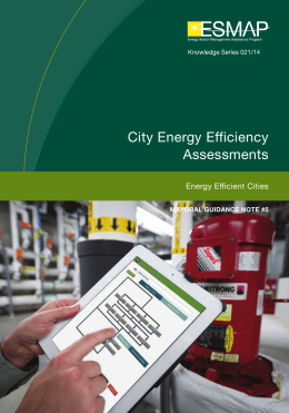 City Energy Efficiency Assessments| Mayoral Guidance