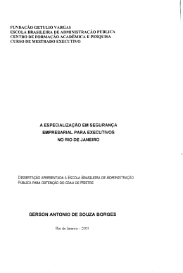 gerson antonio de souza borges