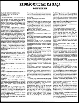Versão em PDF