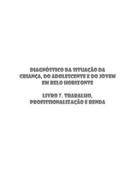 Livro 7.: trabalho, profissionalização e renda