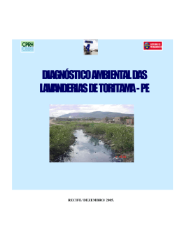 diagn&oacute;stico ambiental das lavanderias de toritama -pe