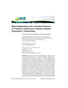 Spermatogenesis and nucleolar behavior in Triatoma - Funpec-rp