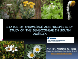 As Plantas do Cerrado apresentam adapta&ccedil;&otilde;es de forma?