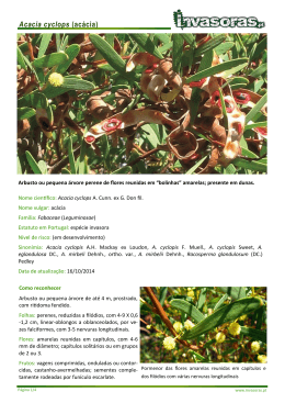 Acacia cyclops (acácia) - Plantas Invasoras em Portugal