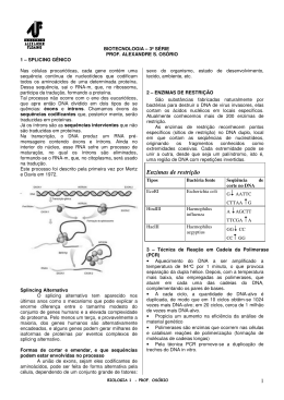 Enzimas de restrição - Colégio Alexander Fleming