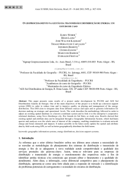 um estudo de caso Weber, E