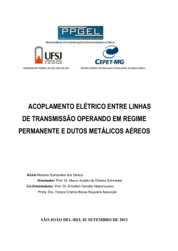 acoplamento el&eacute;trico entre linhas de transmiss&atilde;o - ppgel