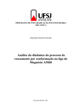 An&aacute;lise da din&acirc;mica do processo de roscamento por