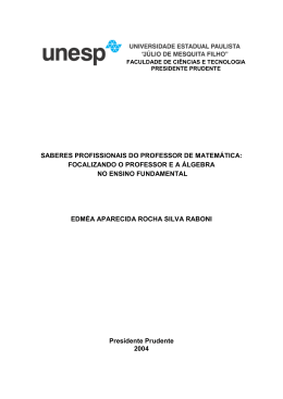 saberes profissionais do professor de matem&aacute;tica