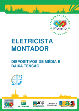 ELETRICISTA MONTADOR