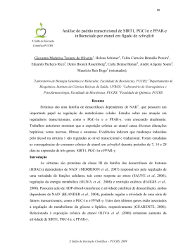 Análise do padrão transcricional de SIRT1, PGC1α e