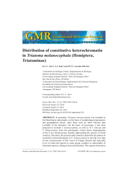 Distribution of constitutive heterochromatin in Triatoma