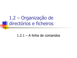 1.2 – Organização de directórios e ficheiros
