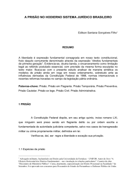 a pris&atilde;o no hodierno sistema jur&iacute;dico brasileiro