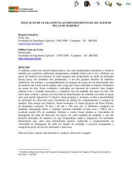 aplica&ccedil;&atilde;o de ultra-som no acompanhamento da