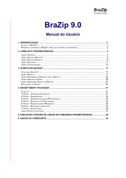 1. Apresenta&ccedil;&atilde;o - BraZip Tecnologia