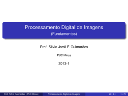 Processamento Digital de Imagens