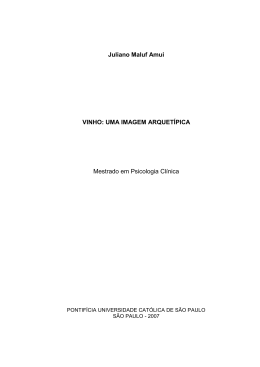 Juliano Maluf Amui VINHO: UMA IMAGEM ARQUET&Iacute;PICA Mestrado