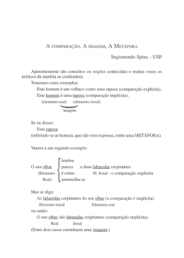 A coMPARA&ccedil;&Atilde;o. A IMAGEM, A MET&Aacute;FoRA Segismundo Spina