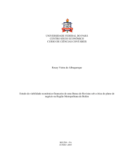 Rousy Vieira Albuquerque &ndash; Plano de Neg&oacute;cios