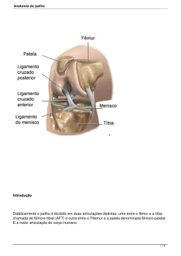 Anatomia do joelho - Dr. Gustavo Kaempf
