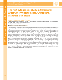 The first cytogenetic study in Vampyrum spectrum (Phyllostomidae