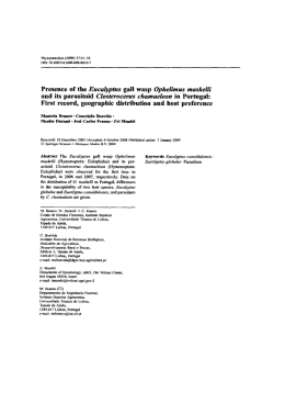 Presence of the Eucalyptus gall wasp Ophelimus maskelli and its