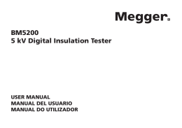 BM5200 5 kV Digital Insulation Tester