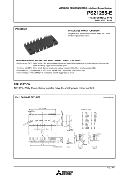 PS21255-E - Ineltron