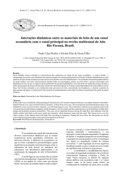 Intera&ccedil;&otilde;es din&acirc;micas entre os materiais do leito de um canal