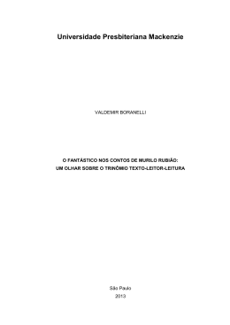 Valdemir Boranelli - in&iacute;cio