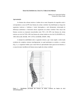 Anexo - Instituto Gaúcho de Cirurgia da Coluna Vertebral