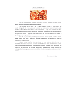 PARASITAS INTESTINAIS De uma forma simples, podemos
