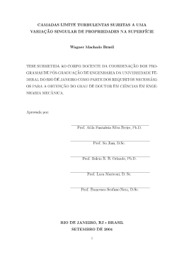 camadas limite turbulentas sujeitas a uma varia&ccedil;&atilde;o singular