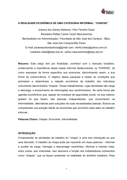 A REALIDADE ECON&Ocirc;MICA DE UMA CATEGORIA INFORMAL