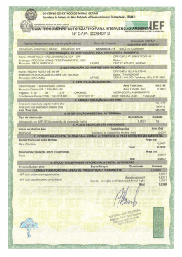 MINERAÇÃO SÃO LOURENÇO LTDA - EPP