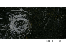 PORTFOLIO