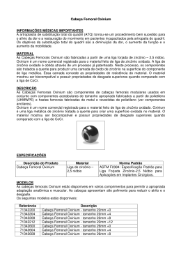 Cabeca Femoral Oxinium IFU0101 RevA