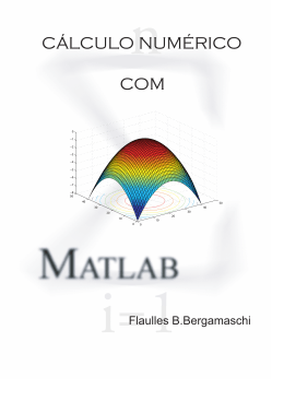 Apostila do curso: Autor Professor Flaulles