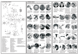 baixar arquivo - Brinquedos Bandeirante