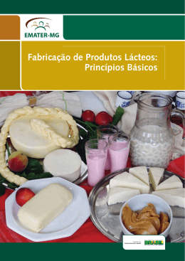 Fabrica&ccedil;&atilde;o de Produtos L&aacute;cteos: Princ&iacute;pios B&aacute;sicos - Emater-MG