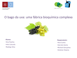 O bago da uva: uma fábrica bioquímica complexa