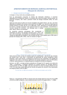 Aproveitamento de biomassa agr&iacute;cola em Portugal
