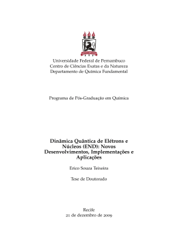 Din&acirc;mica Qu&acirc;ntica de El&eacute;trons e N&uacute;cleos (END): Novos