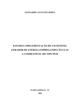 leonardo augusto serpa