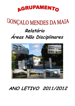 Relatório Áreas Não Disciplinares ANO LETIVO 2011